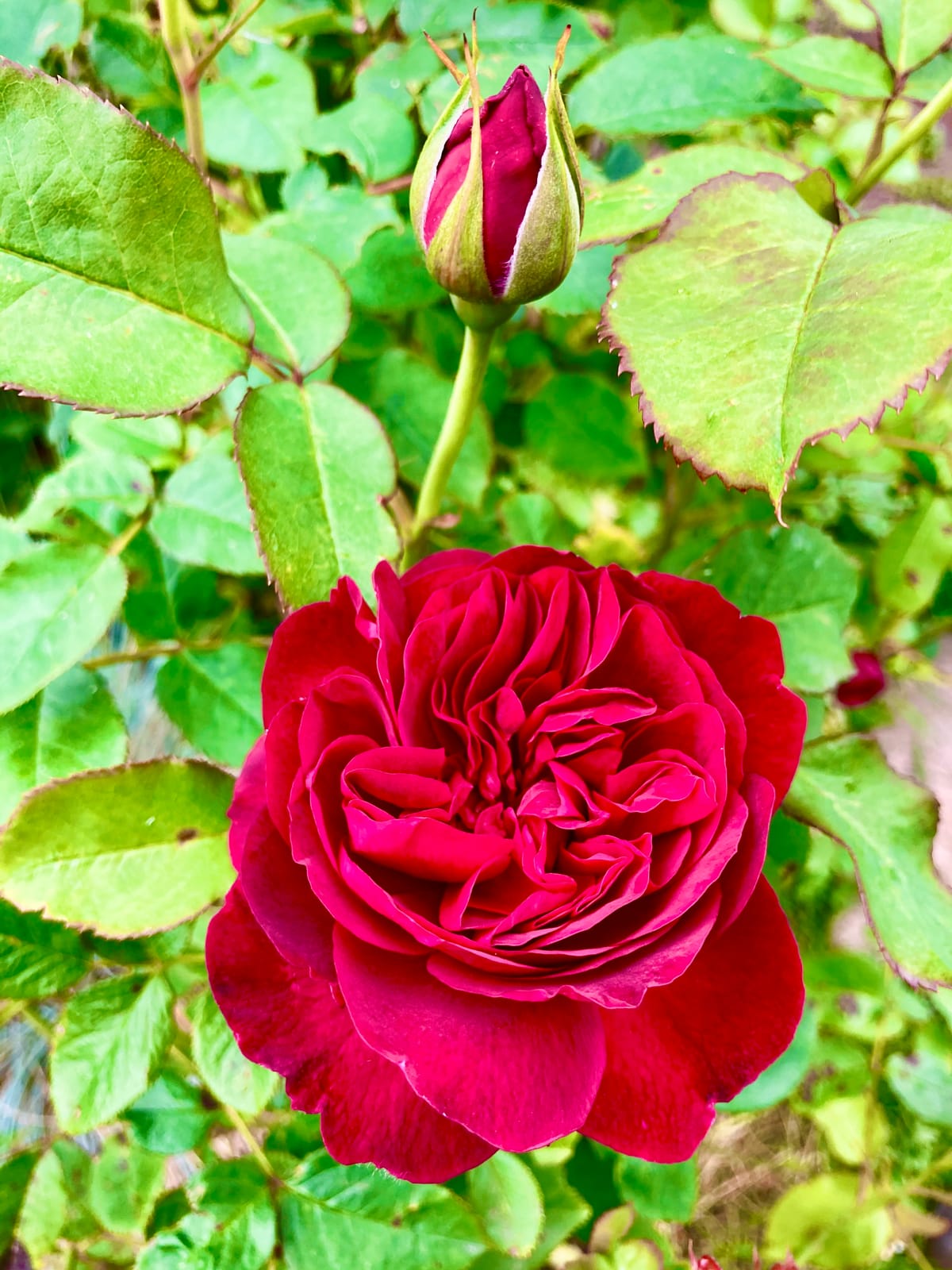 beste Physiotherapeutin