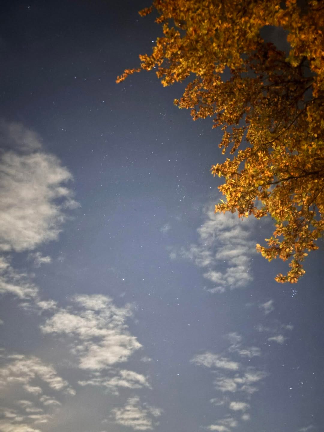 Wenn die Starke den Rufknopf drückt
