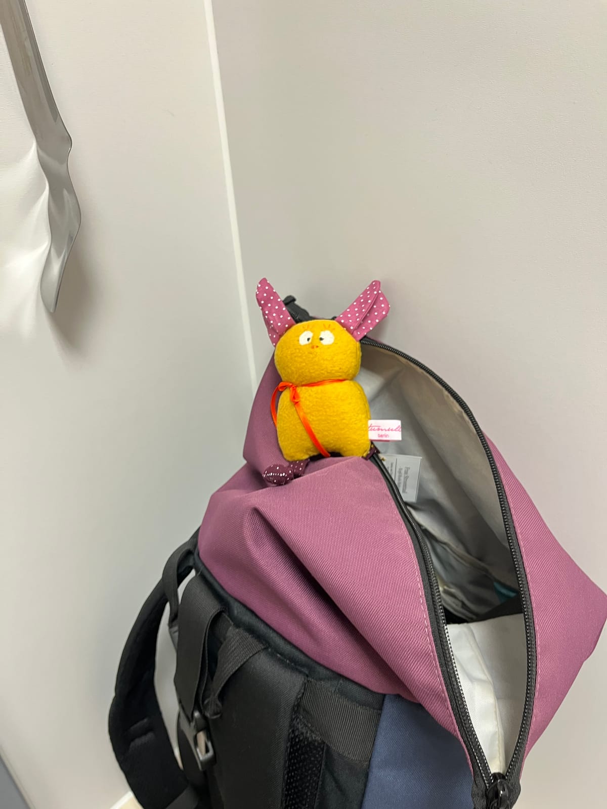 Ein erster Strahl – und ein sehr müder Tag