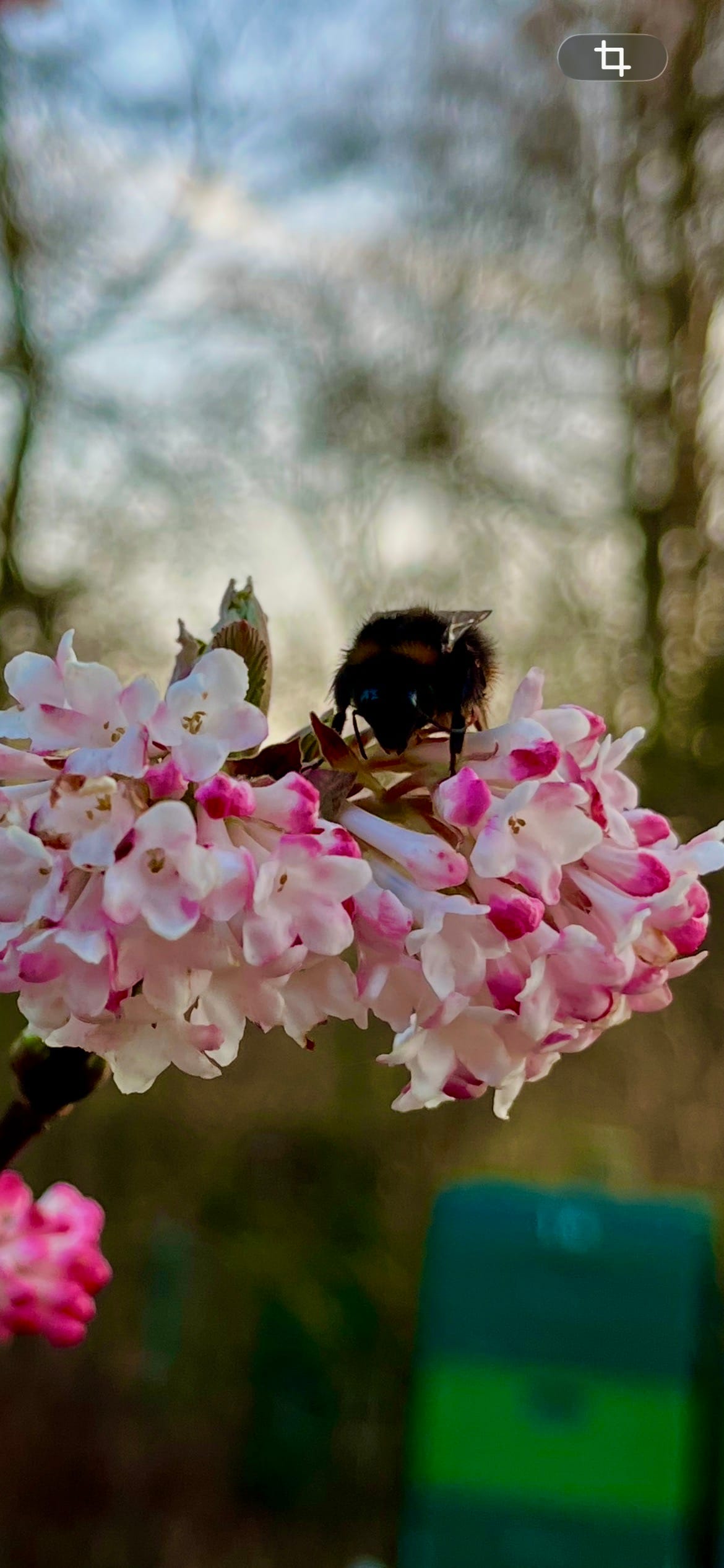 9000 Schritte zurück ins Leben