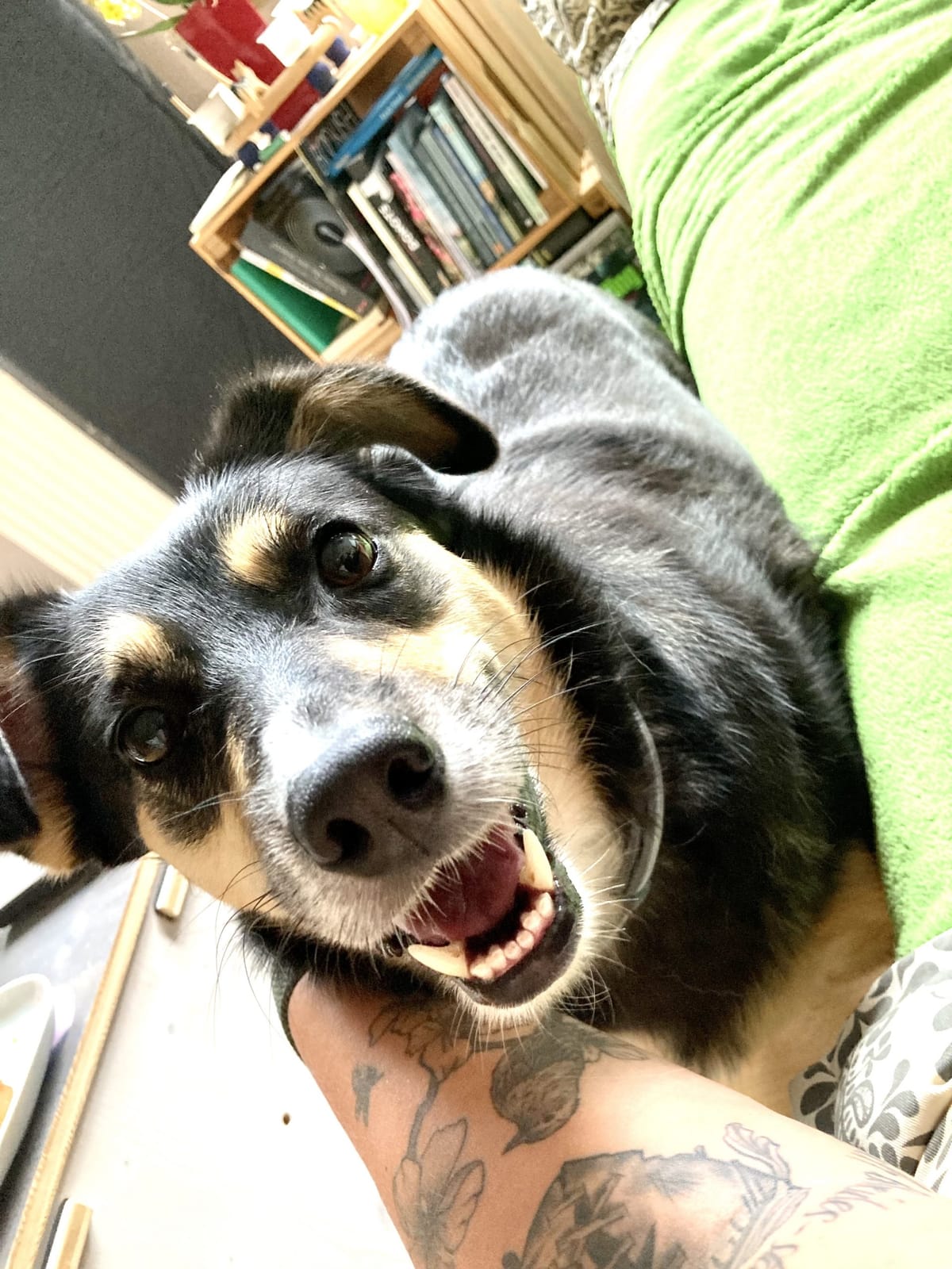 ein Jahr ist vergangen oder Happy Birthday