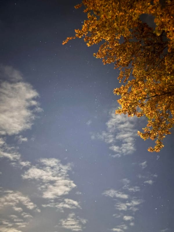 Wenn die Starke den Rufknopf drückt