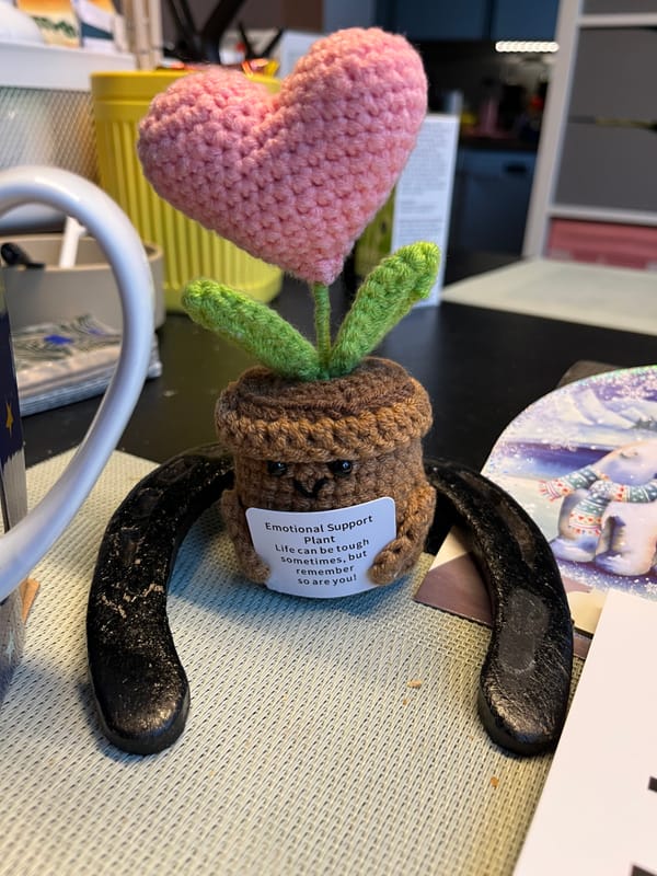 Zwischen Aufatmen und vorsichtigem Weitergehen