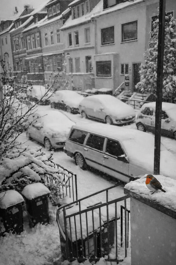 Kleine Schritte zurück ins Leben