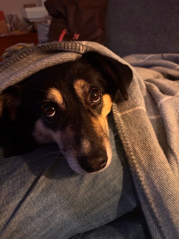 Wenn die Zahlen Angst machen