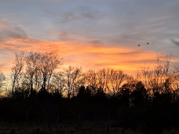 Zwischen Mond und Abendrot